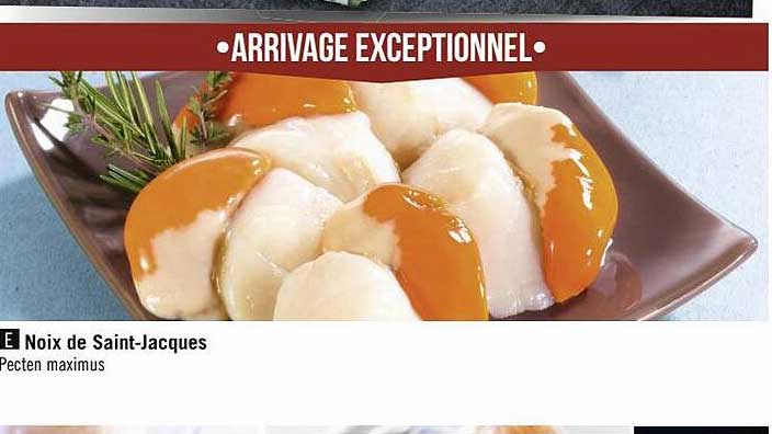 noix de saint-jacques