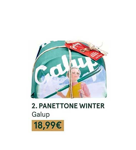 panettone winter galup