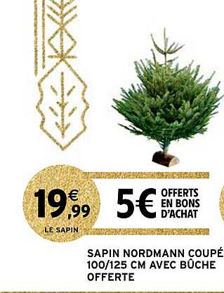 sapin nordmann coupé 100-125 cm avec bûche offerte