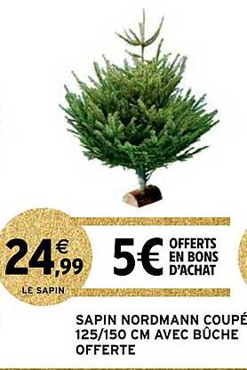 sapin nordmann coupé 125-150 cm avec bûche offerte