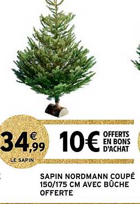 sapin nordmann coupé 150-175 cm avec bûche offerte