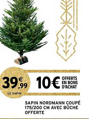 sapin nordmann coupé 175-200 cm avec bûche offerte
