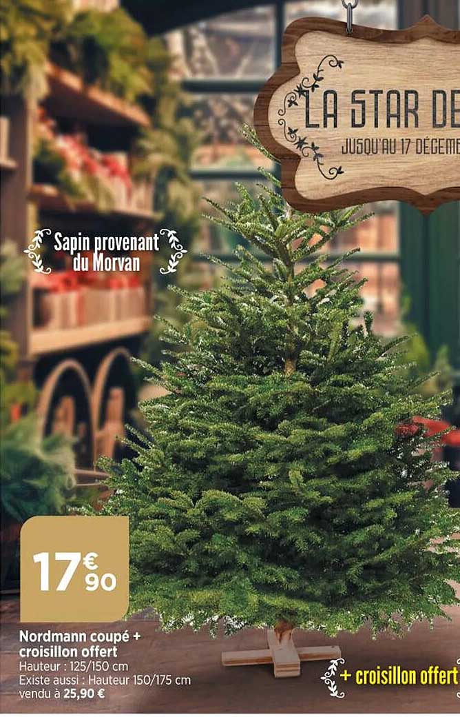 Nordmann Coupé + Croisillon Offert