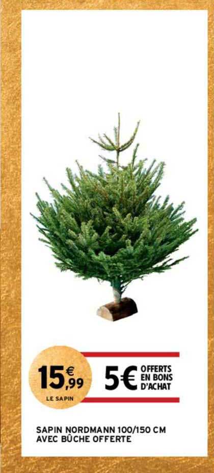 sapin nordmann 100/150 cm avec bûche offerte