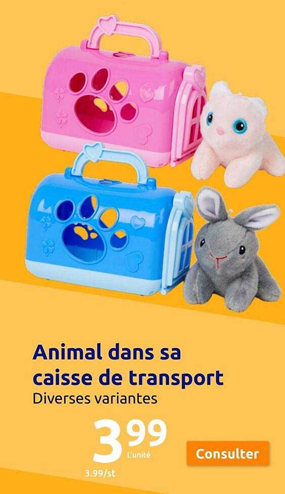animal dans sa caisse de transport
