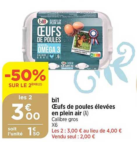 bi1 œufs de poules élevées en plein air