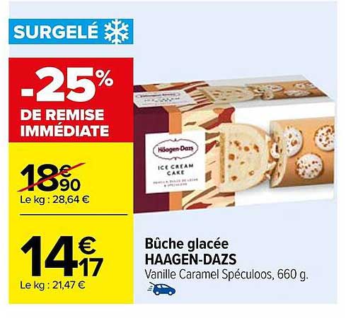 bûche glacée häagen-dazs