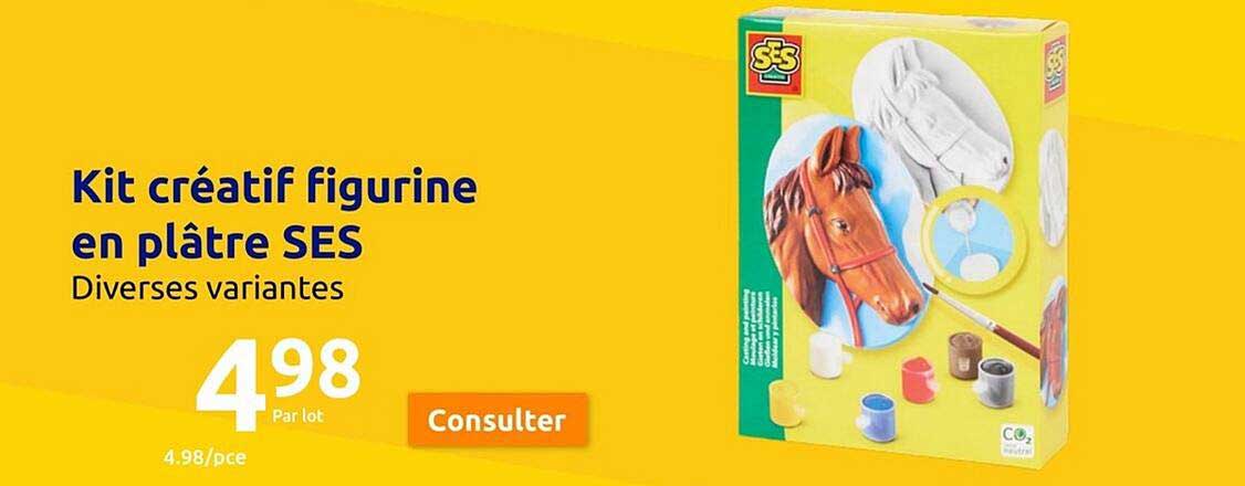 kit créatif figurine en plâtre ses