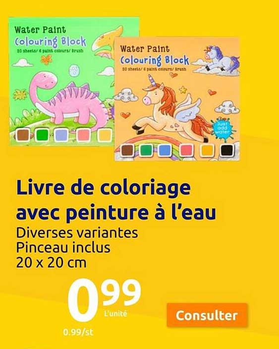 livre de coloriage avec peinture à l'eau