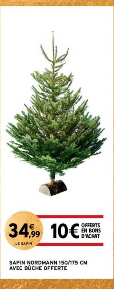 sapin nordmann 150/175 cm avec bûche offerte