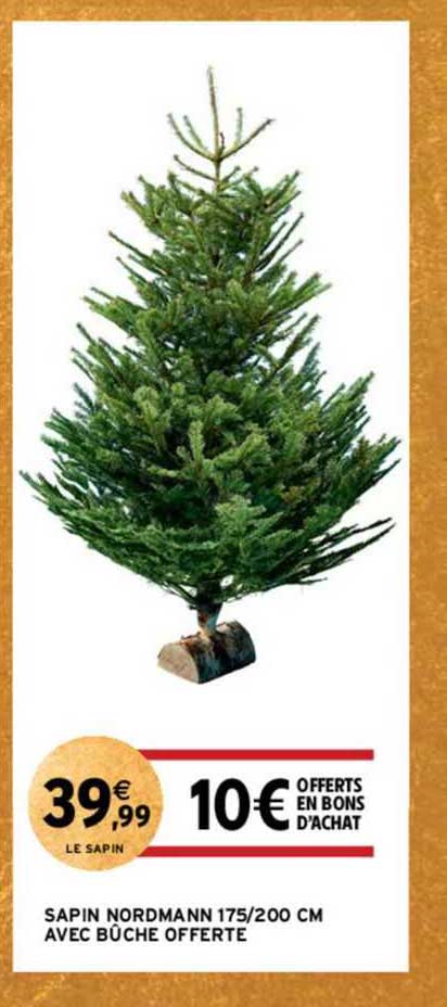sapin nordmann 175/200 cm avec bûche offerte