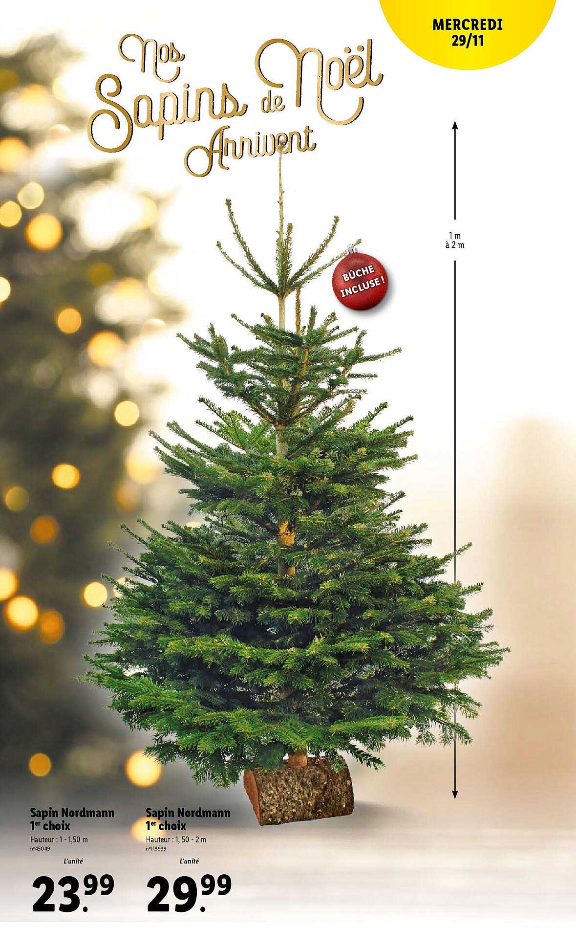 sapin nordmann 1er choix