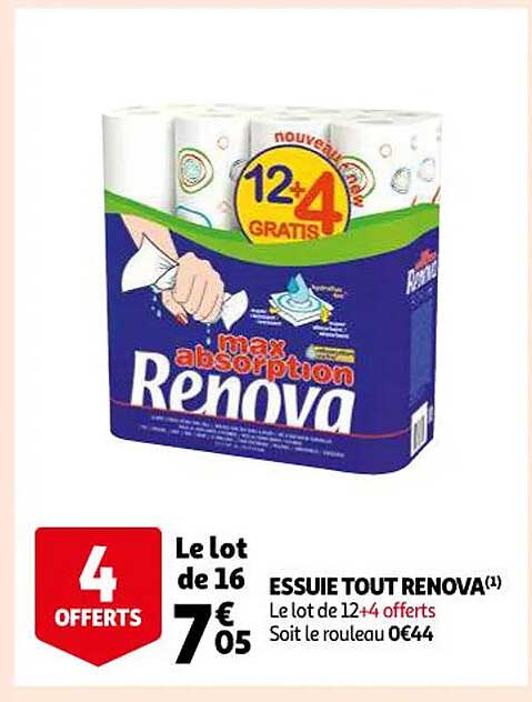 essuie tout renova
