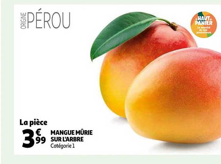 mangue mûrie sur l'arbre