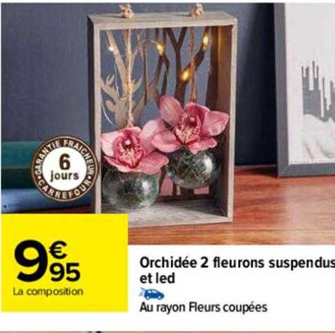 orchidée 2 fleurons suspendus et led