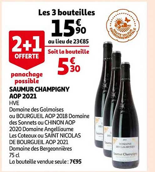 saumur champigny aop 2021 hve domaine des galmoises ou bourgueil aop 2018 domaine des sonnets ou chinon aop 2020 domaine angelliaume les coteaux ou saint nicolas de bourgueil aop 2021 domaines des ber
