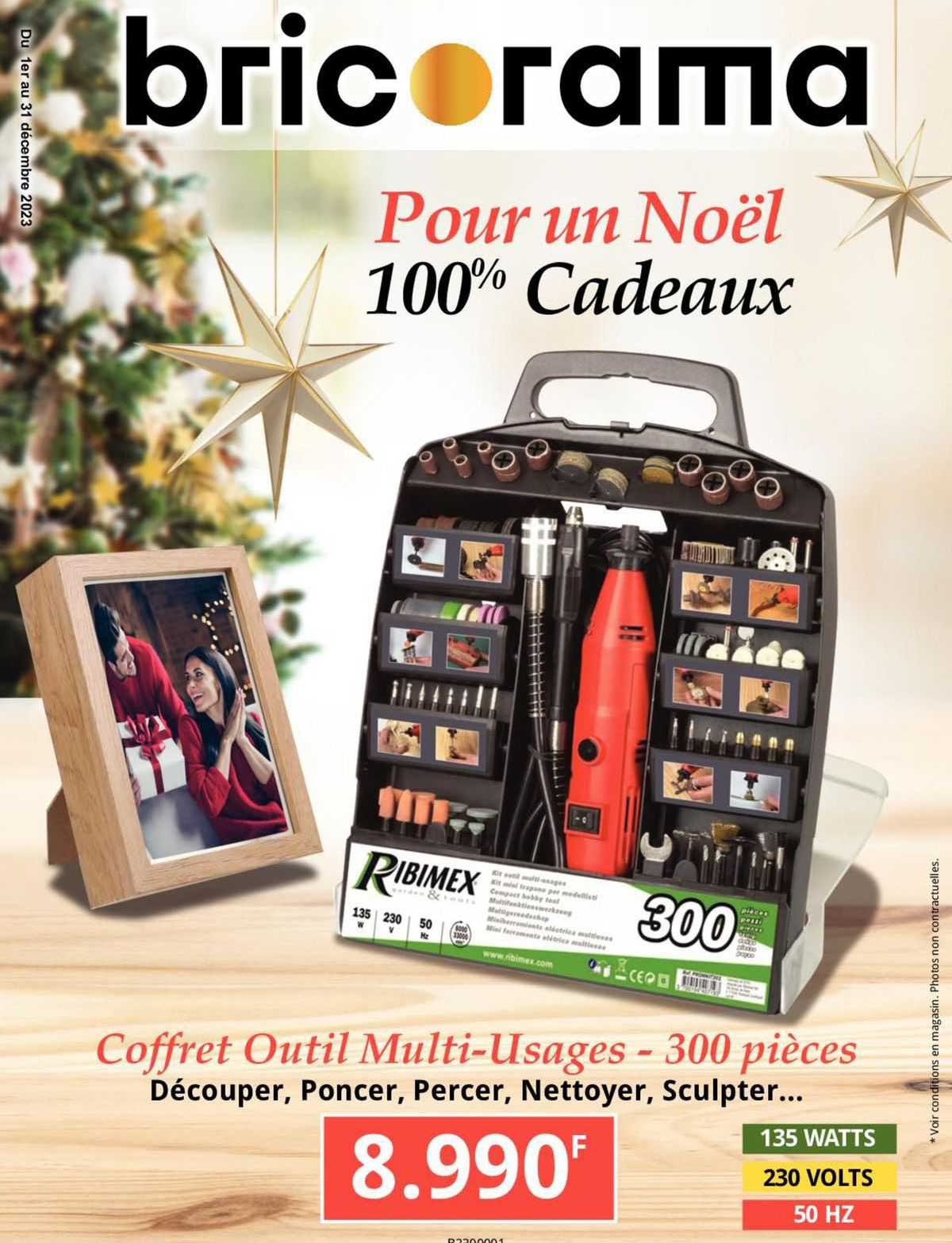 coffret outil multi-usages - 300 pièces