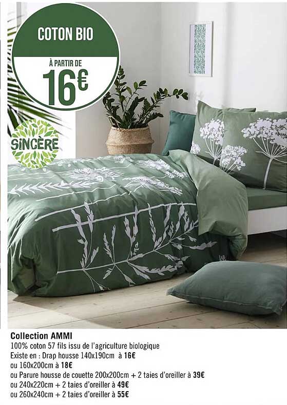 Collection Ammi Sincère