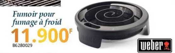 fumoir pour fumage à froid weber