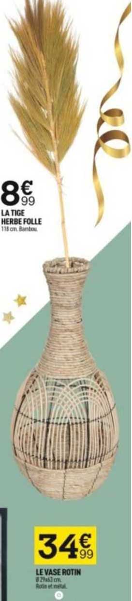 la tige herbe folle, le vase rotin