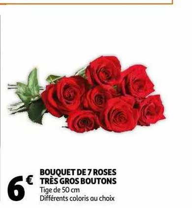 bouquet de 7 roses très gros boutons
