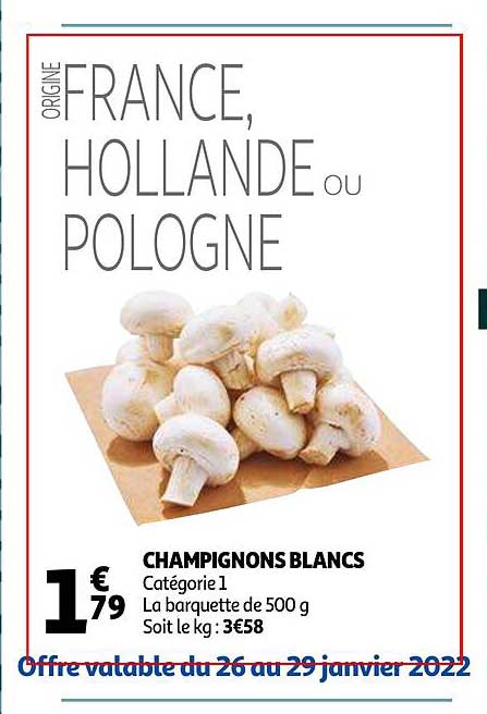 Champignons Blancs