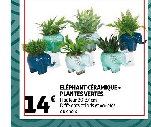 éléphant Céramique + Plantes Vertes