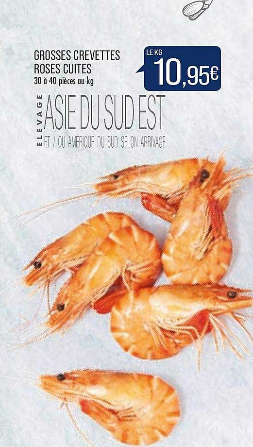 grosses crevettes roses cuites