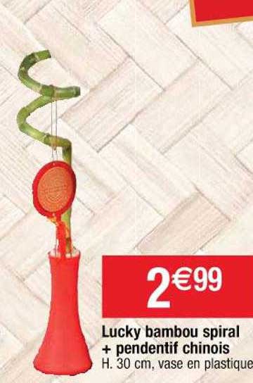 lucky bambou spiral + pendentif chinois