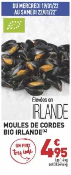 moules de cordes bio irlande