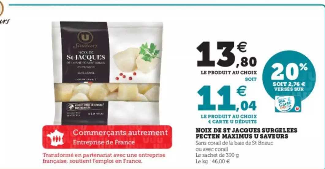 Noix De St Jacques Surgelées Pecten Maximus U Saveurs