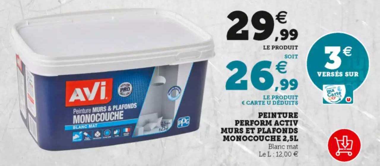 peinture perform activ nusse et plafonds monouche 2,5 l