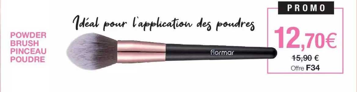 powder brush pinceau poudre