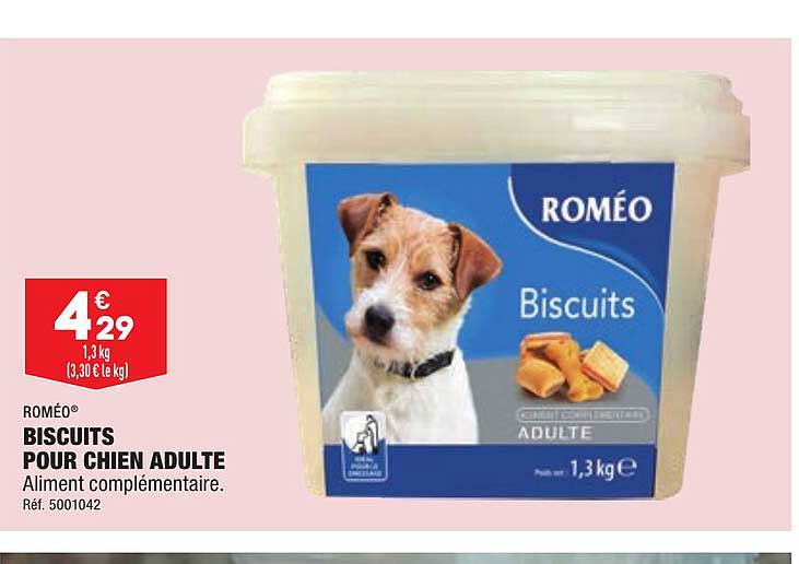 biscuits pour chien adulte roméo