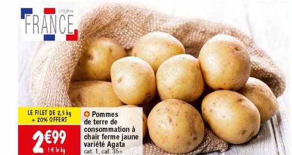 pommes de terre de consommation à chair ferme jaune variété agata