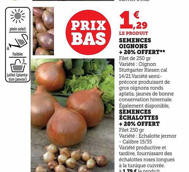 semences oignons + 20% offert, semences échalotes + 20% offert