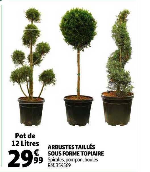 arbustes taillés sous forme topiaire