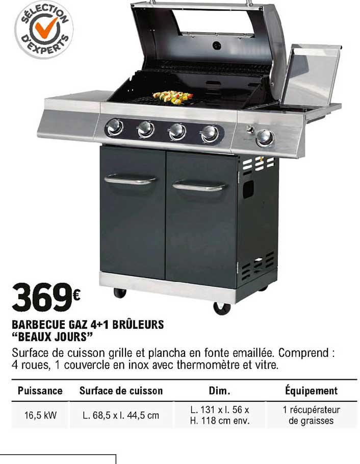 barbecue gaz 4+1 brûleurs beaux jours