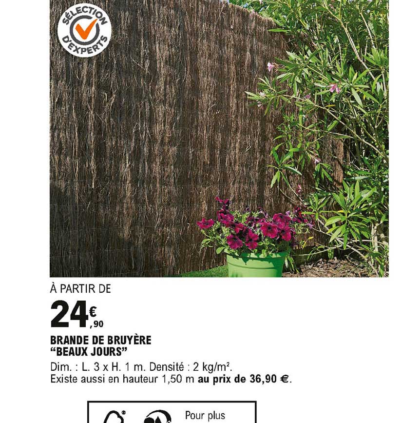 brande de bruyère beaux jours