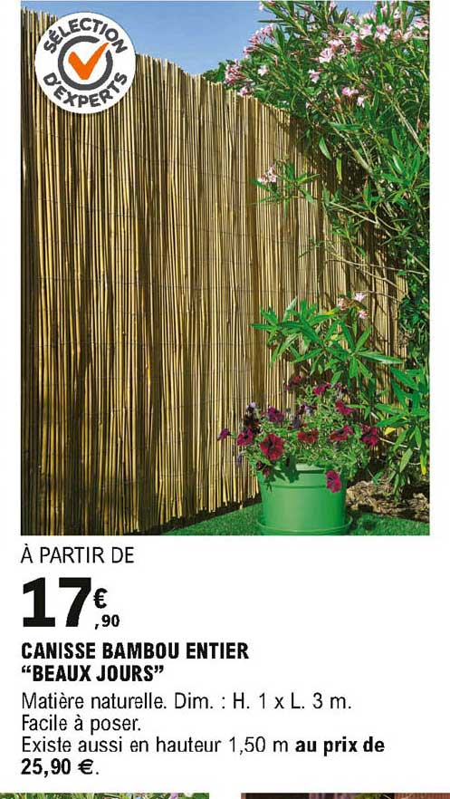 canisse bambou entier beaux jours