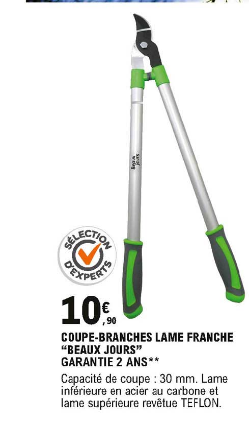 coupe branches lame franche beaux jours