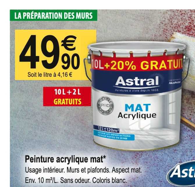 peinture acrylique mat astral