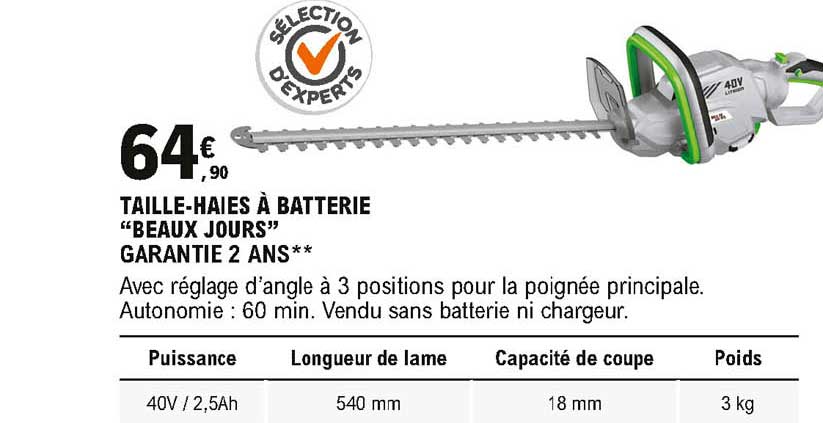 taille haies à batterie beaux jours