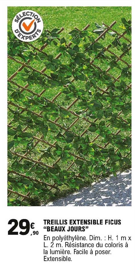 treillis extensible ficus beaux jours