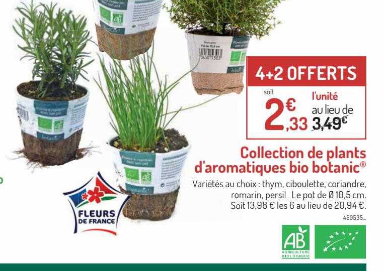 collection de plants d'aromatiques bio botanic