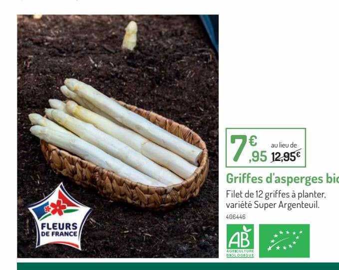 griffes d'asperges bio