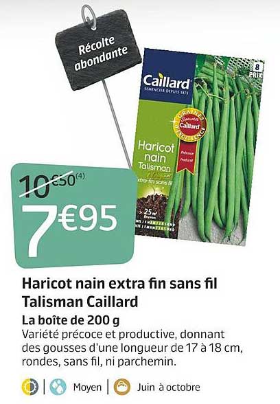 haricot nain extra fin sans fil talisman caillard