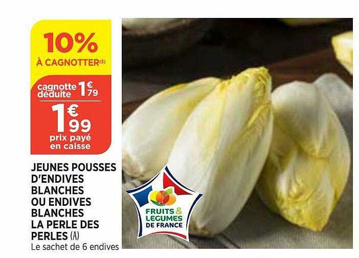 jeunes pousses d'endives blanches ou endives blanches la perle des perles