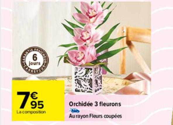 orchidée 3 fleurons