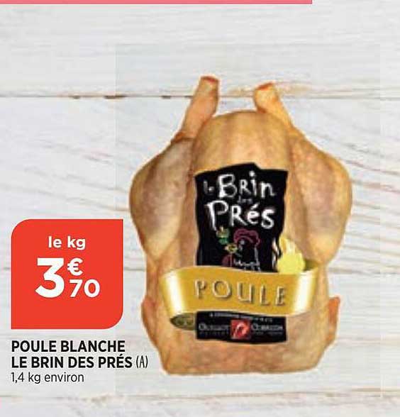 poule blanche le brin des prés